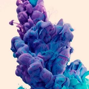 Meet your Posher, Jessie